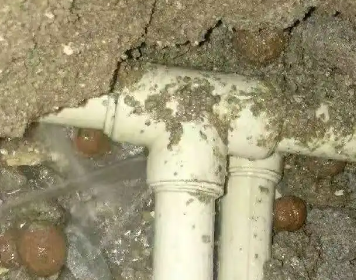 尚志测漏水多少钱