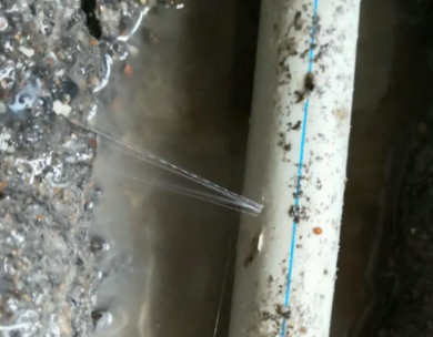 尚志测漏水哪家好