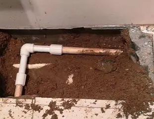 尚志测漏水哪家好