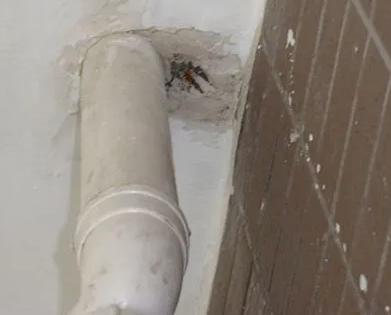 尚志漏水检测哪家好